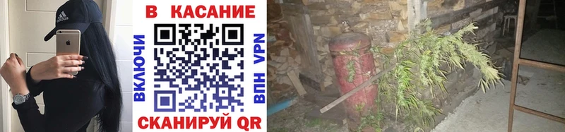 Где купить наркотики Шелехов А ПВП ОМГ ОМГ зеркало ГАШ Cocaine Меф Псилоцибиновые грибы