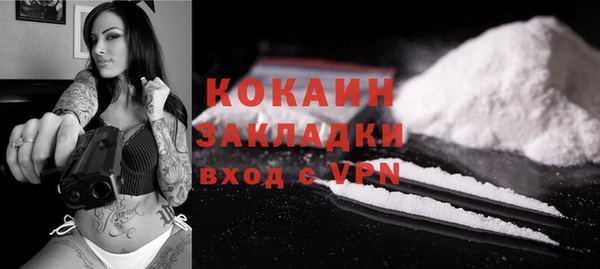 ешки Алексин