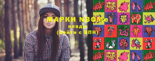 стафф Алзамай