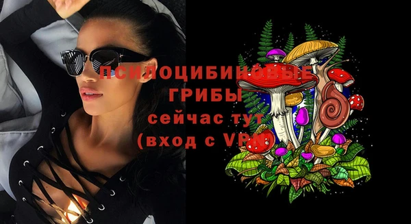 ешки Алексин