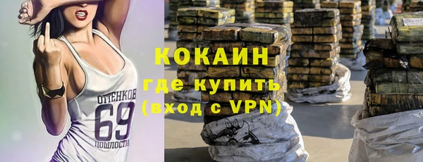 ешки Алексин