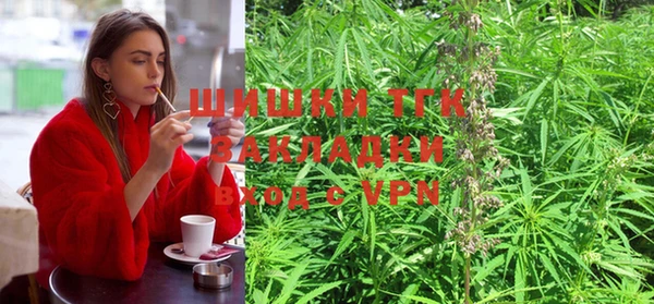 ешки Алексин
