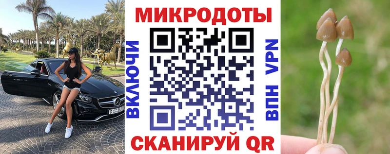 Галлюциногенные грибы GOLDEN TEACHER  закладки  Шелехов 